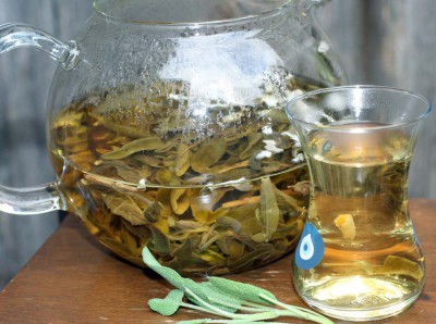 Death Begins in the Intestines! Why Die if You Have This Plant? Discover the Power of Sage Tea