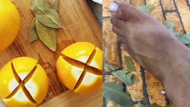 Just Stick a Bay Leaf in a Lemon! The Amazing Effects You’ll Experience