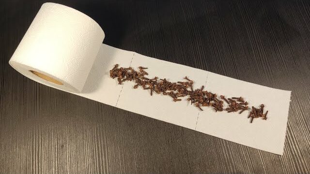 Aromatic Surprise: Putting Cloves on Toilet Paper