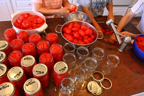 Keep Your Tomatoes Fresh for a Year with This Simple Needle Trick