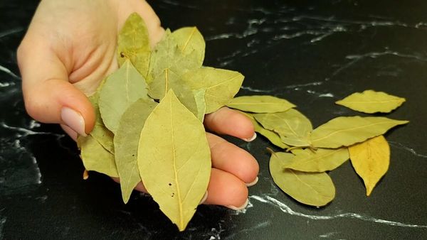 Stronger, Healthier Hair with Bay Leaves