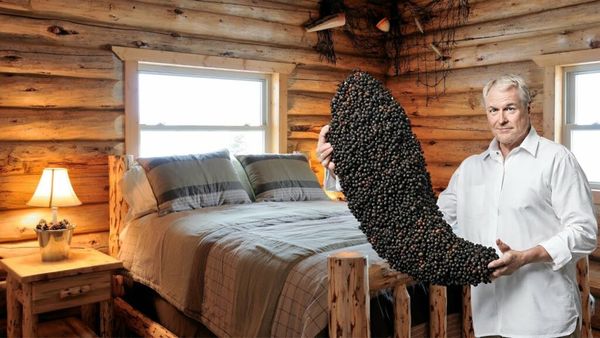 Discover the Hidden Powers of Black Pepper!