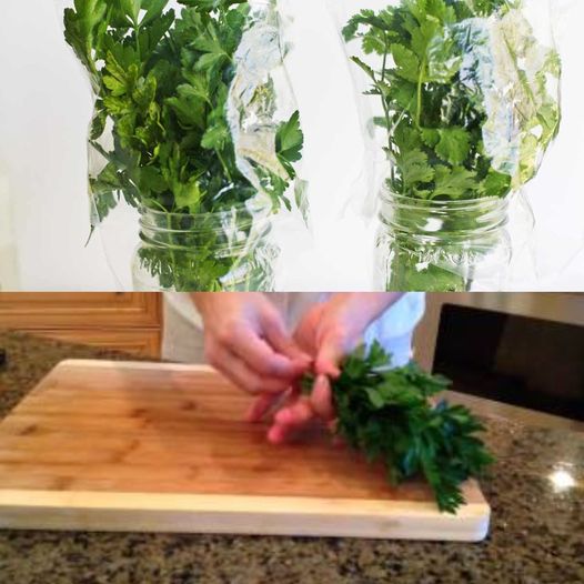 How to Preserve Parsley and Keep it Fresh for Months