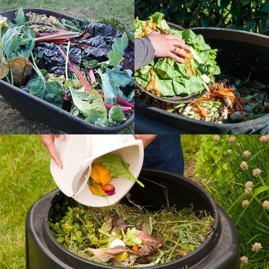 Trench Composting: A Simple Guide to Enriching Your Garden Soil