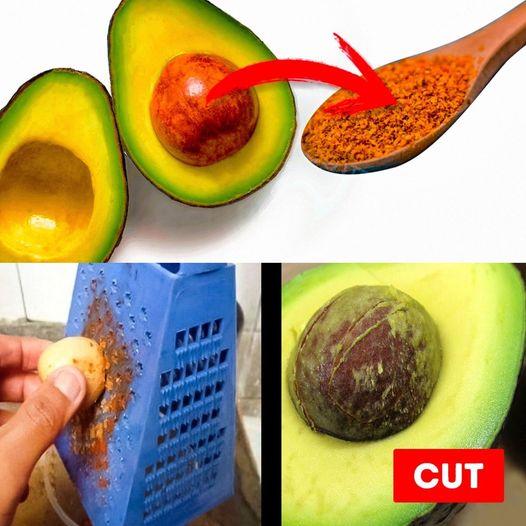 The Amazing Health Benefits of Avocado Seeds