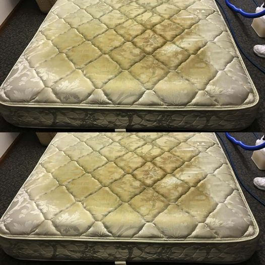 Here’s what’s hiding in your mattress: if you knew, you would always clean it