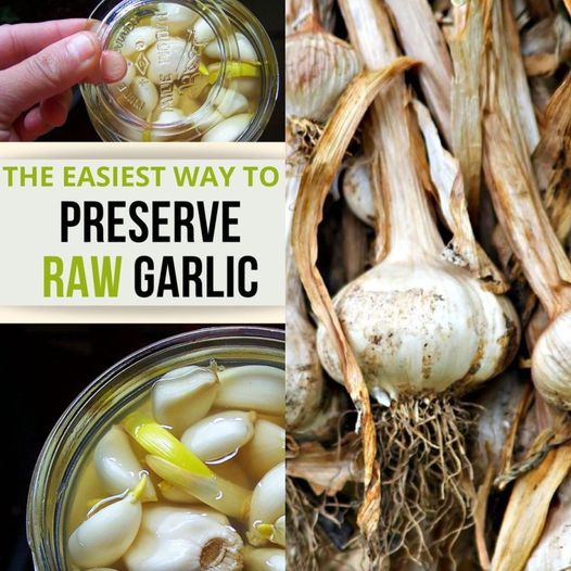 Keep your garlic fresh and flavorful all year long!