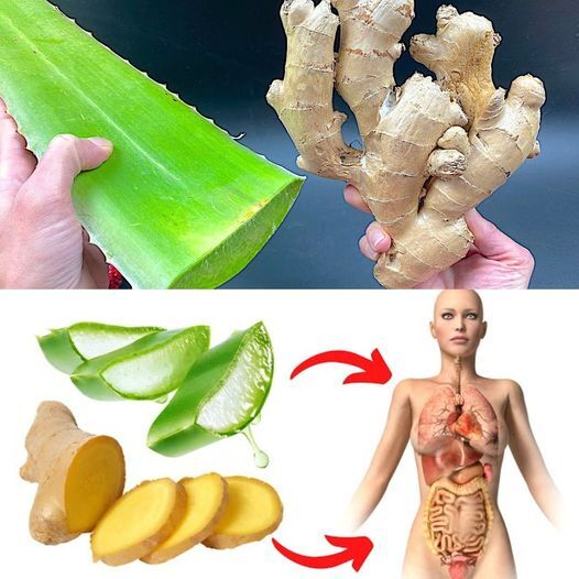 The Power of Ginger and Aloe Vera: A Natural Health Boost