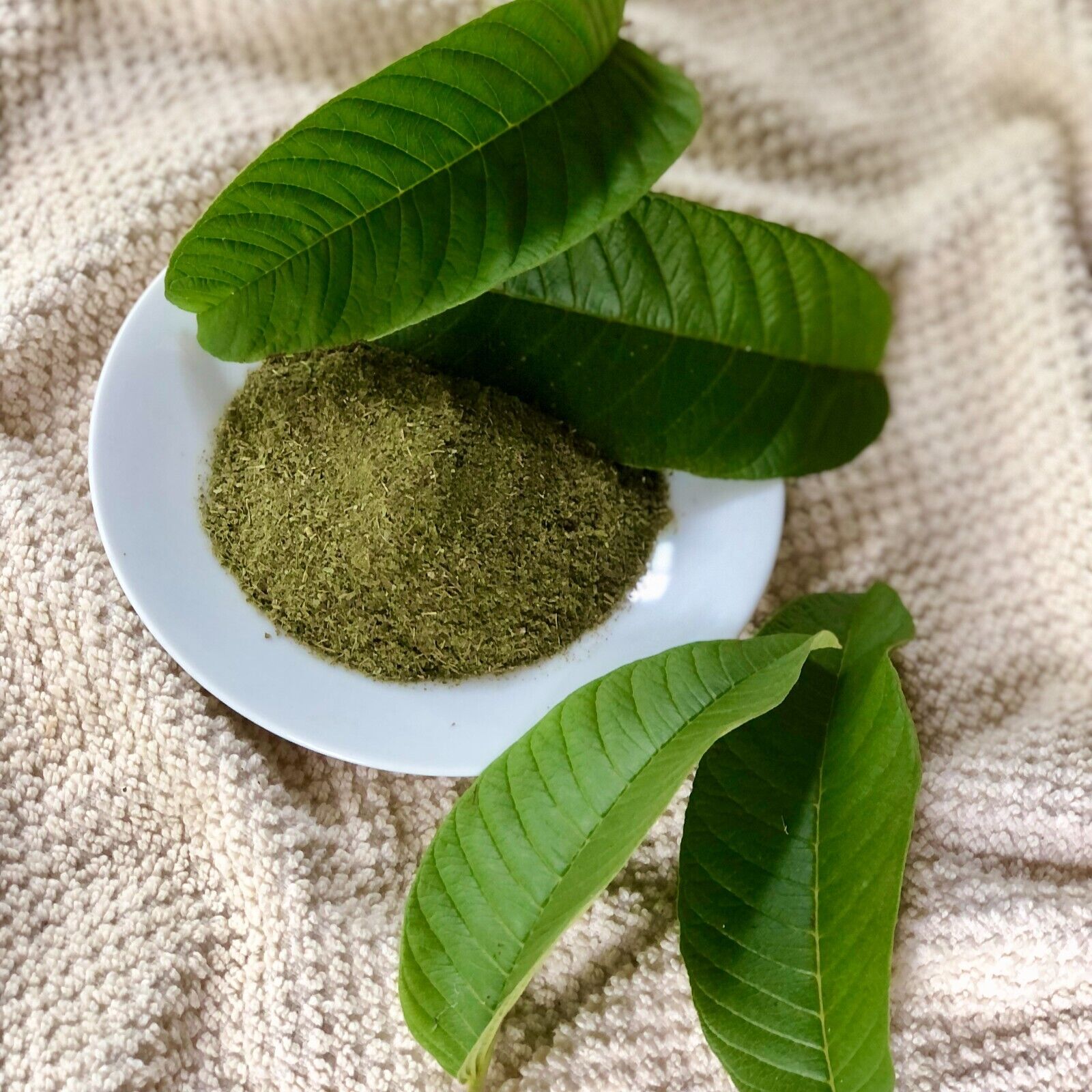 How to Make Guava Leaves Powder: A Simple Guide