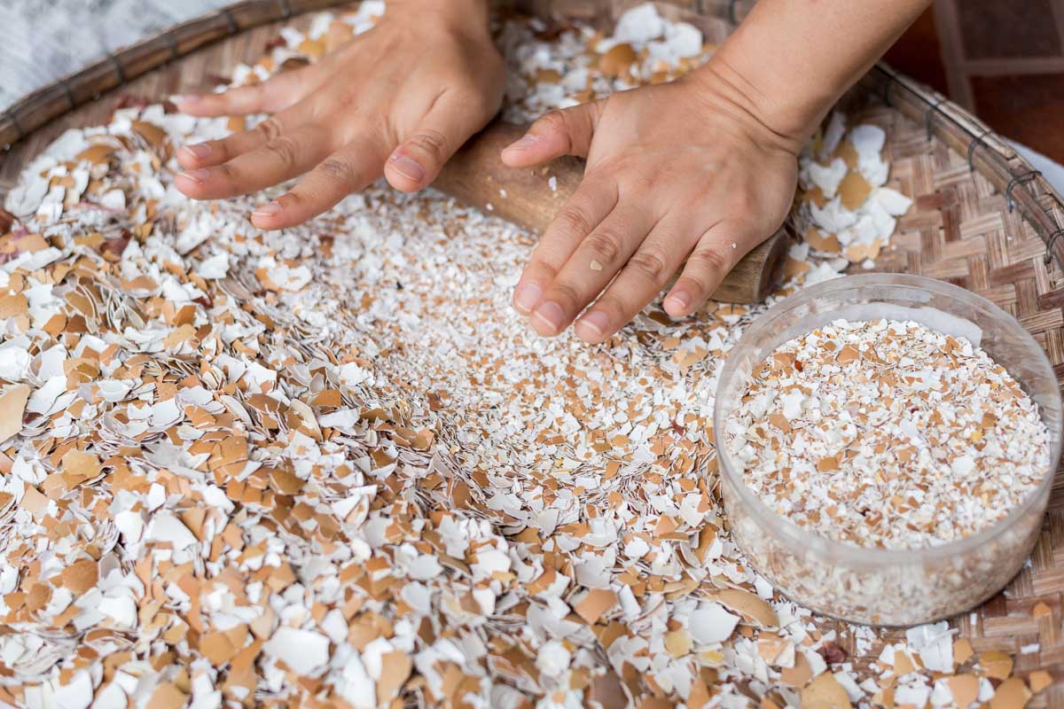 For Strong Bones and Teeth: Just One Small Spoon of Eggshell Powder a Day!