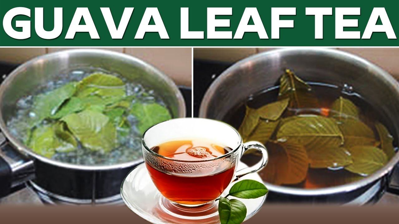 Guava Leaf Tea – How I Prepare It (Did You Know That?)