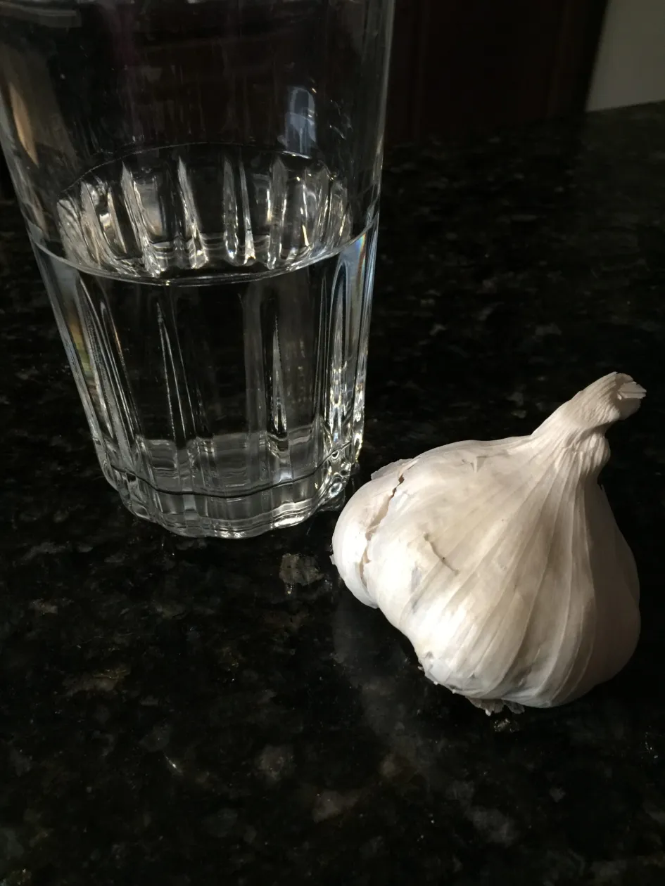 The Wonders of Garlic Water and Garlic Sprouts for Your Health