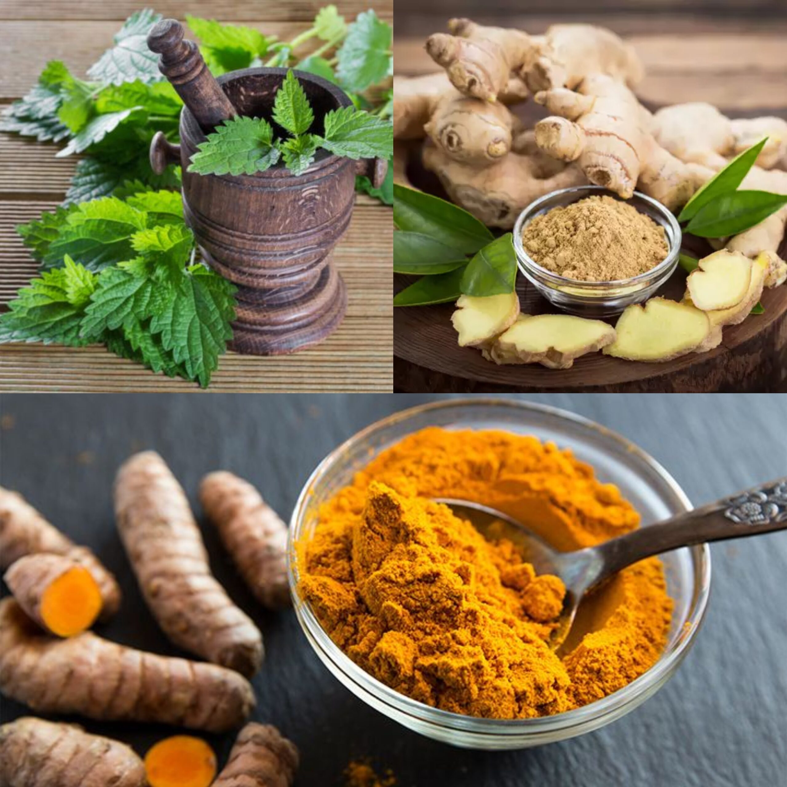 5 Best Spices in the Fight Against Cancer