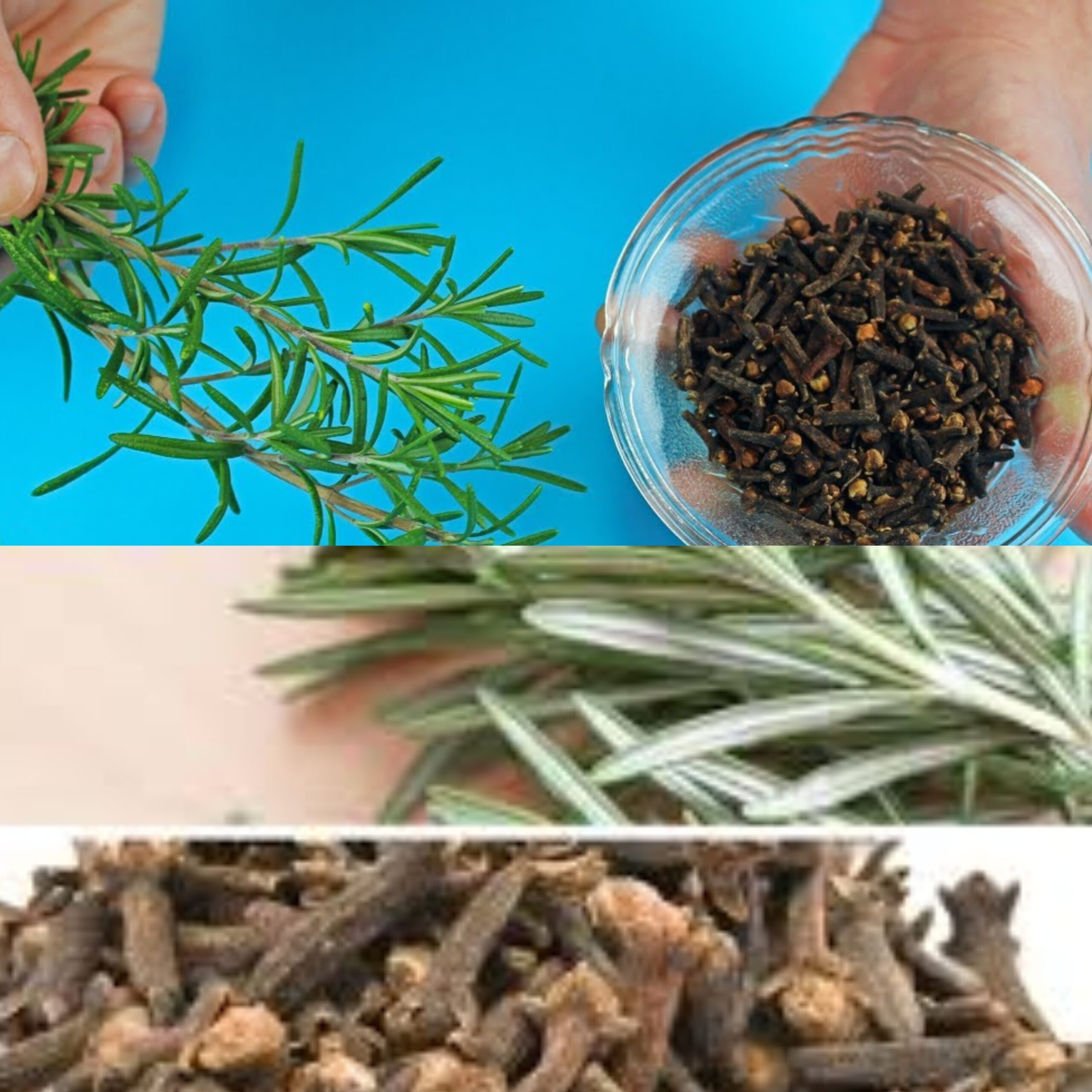 Rosemary and Cloves Tea! Immunity-Boosting Elixir