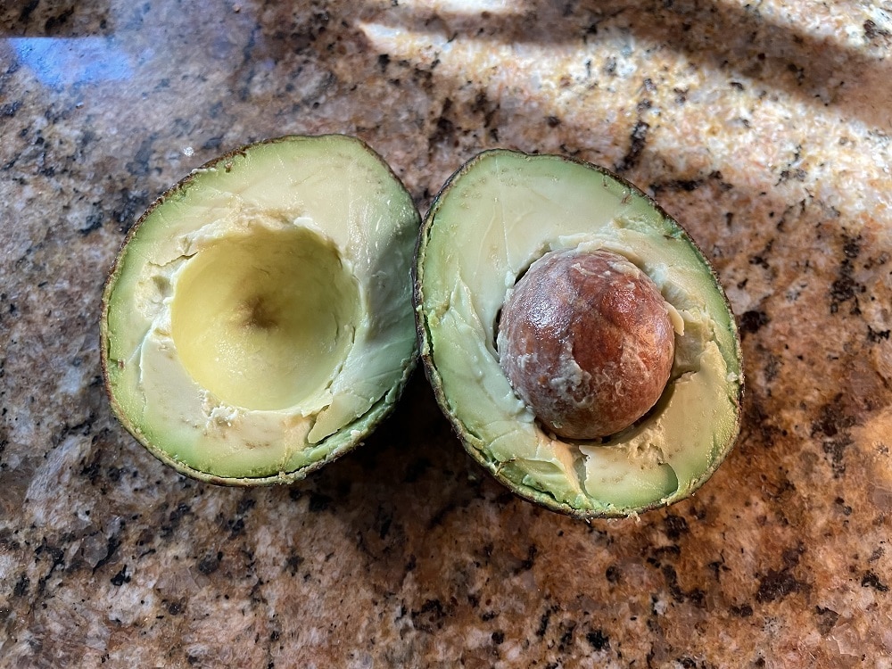 How to Eat and Store Avocado Seeds (Did You Know That?) 🥑🌱