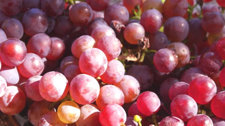 How to Make Healthy Homemade Grape Juice