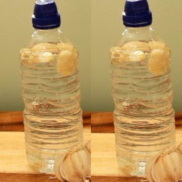 The Benefits and Risks of Drinking Garlic Water