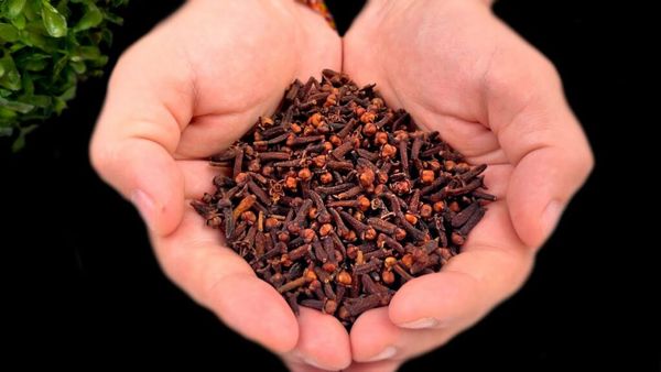 Discover the Amazing Benefits of Cloves Tea