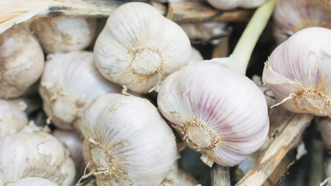 How to Improve Your Vision With This Simple and Delicious Drink – Make It Today (Not What You Think): Garlic Water!