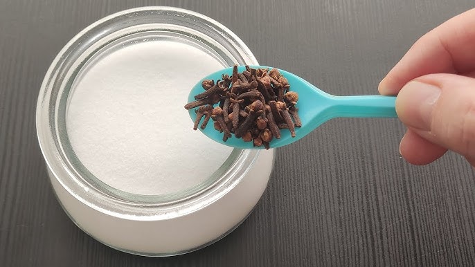 Just Put Cloves in Baking Soda and You Don’t Need to Spend Money at the Store (Did You Know That?)