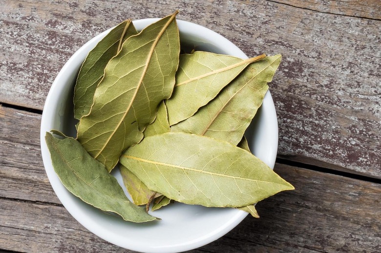 Pain in Muscles Subsides, and Joints Are Like New: The Healthiest Oil in the World – Bay Leaves