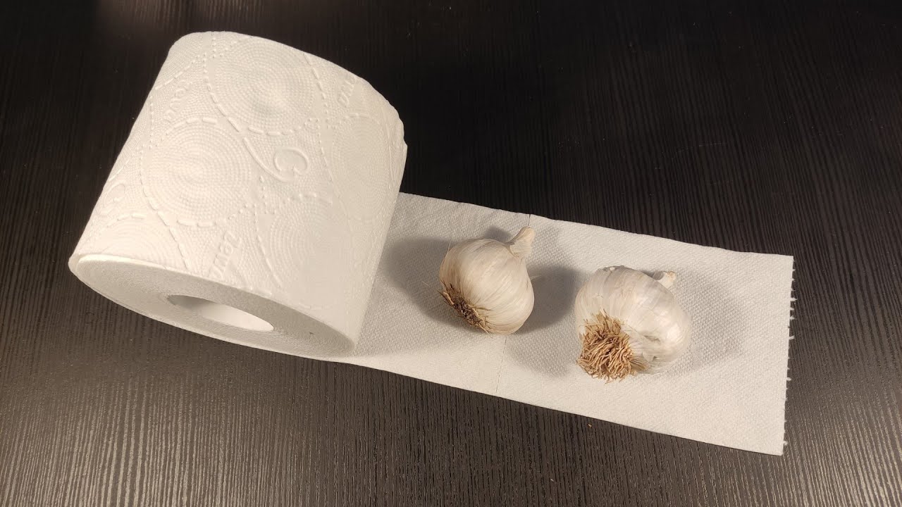 The Surprising Benefits of Placing Garlic on Toilet Paper