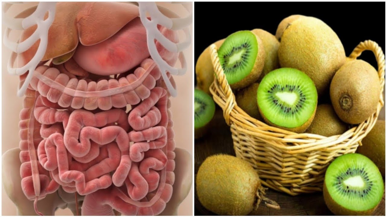 Intestine and Liver Are Like New! Only 3 Days – All the Dirt Comes Out with Kiwi