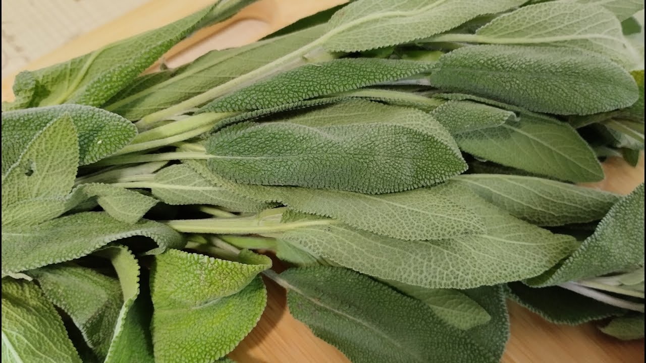 Better Than Any Pill: Discover the Incredible Healing Powers of Sage