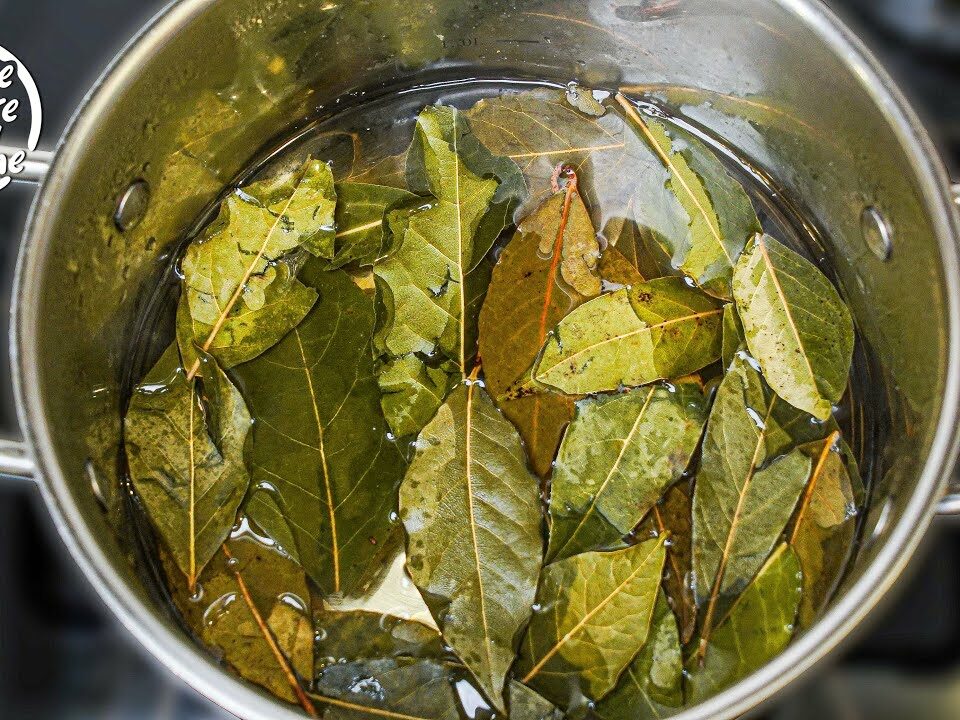 A Global Sensation: Grandma’s Easy Bay Leaf and Lemon Brew!