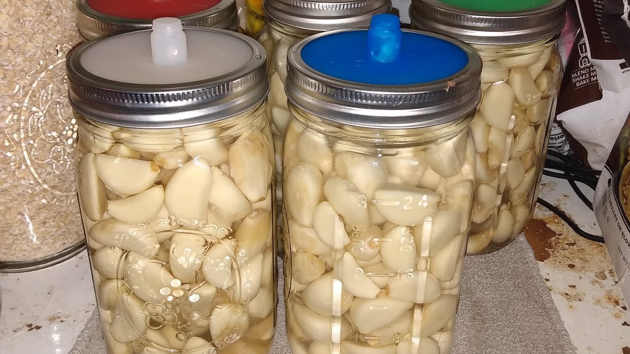 Preserving Garlic for Long-Term Storage: Effective Methods and Tips