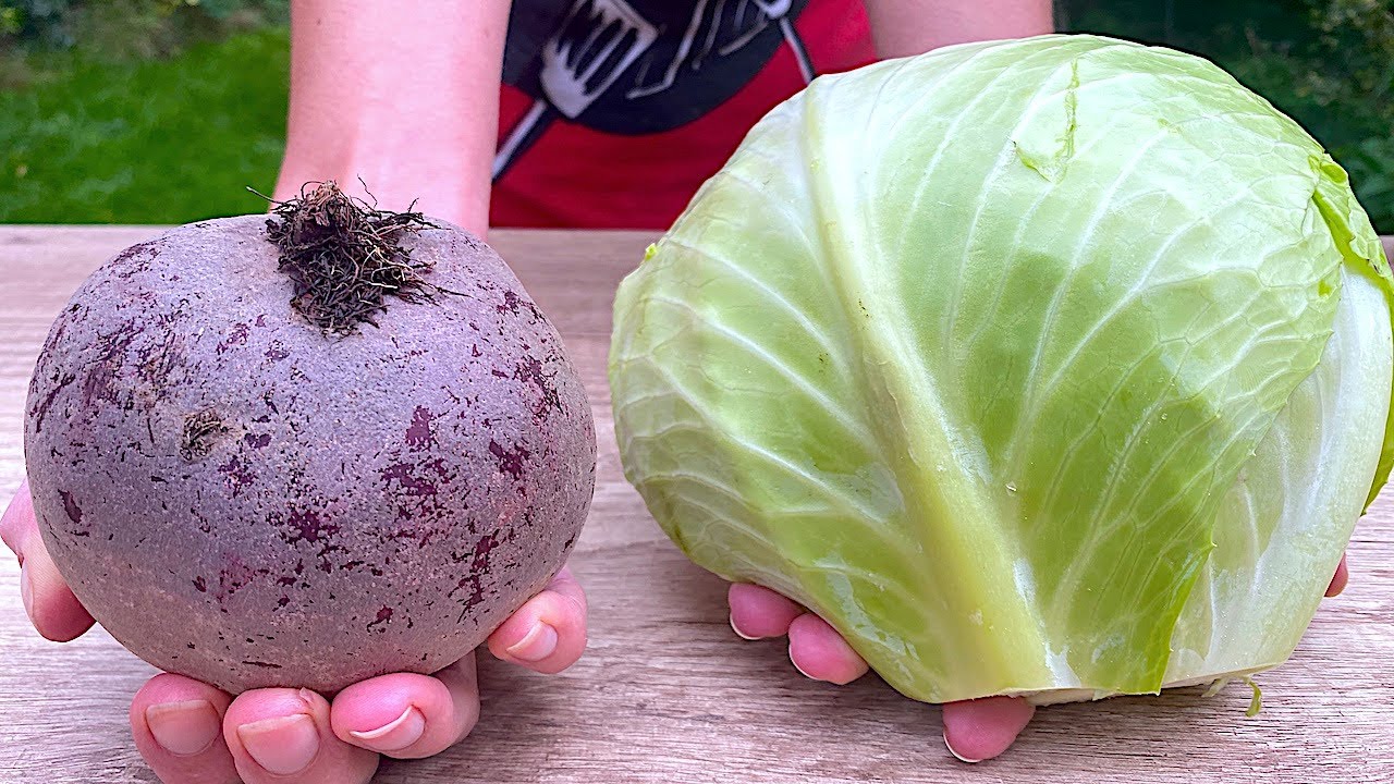 I Can’t Stop Eating This Beetroot, Carrot, and Cabbage Salad 🥕🥬 New Salad Recipe 👌