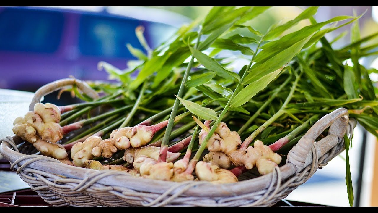 Ginger Tea: A Natural Energy Boost for Your Daily Routine