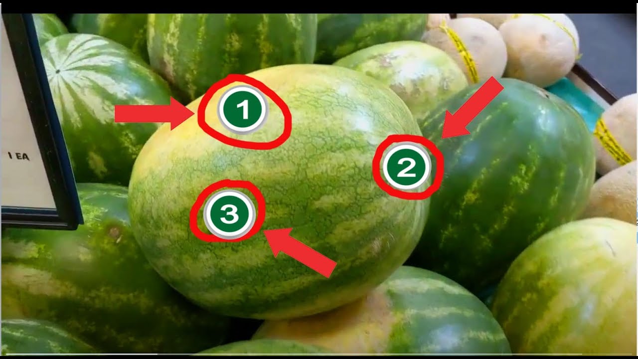 How to Pick a Sweet and Juicy Watermelon: 3 Things to Look For and How to Cut It Into Cubes