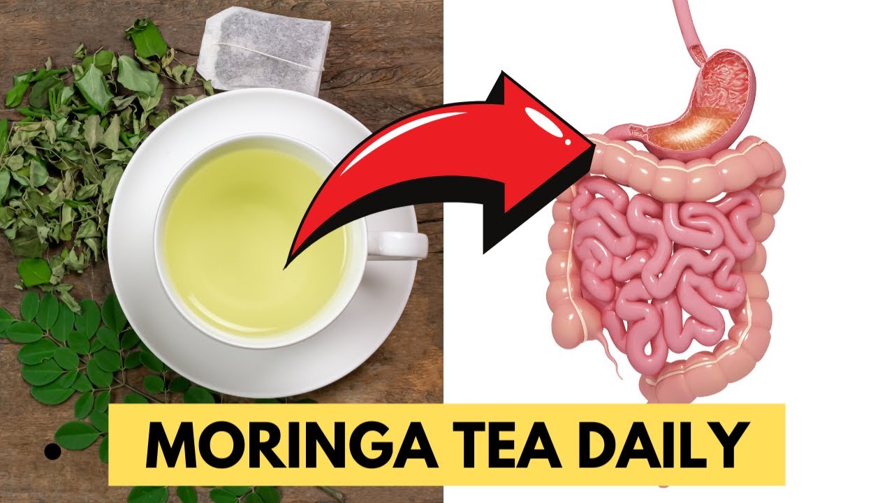 Top 5 Benefits of Moringa Tea: Why You Should Drink It Daily