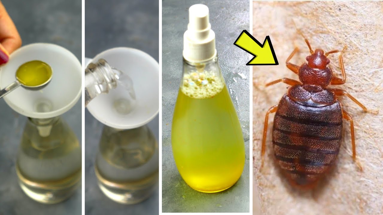 Homemade Bed Bug Spray: Dish Soap, Vinegar, and Rubbing Alcohol