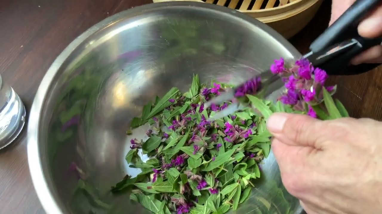 How to Make a Purple Loosestrife Tincture (Lythrum salicaria)