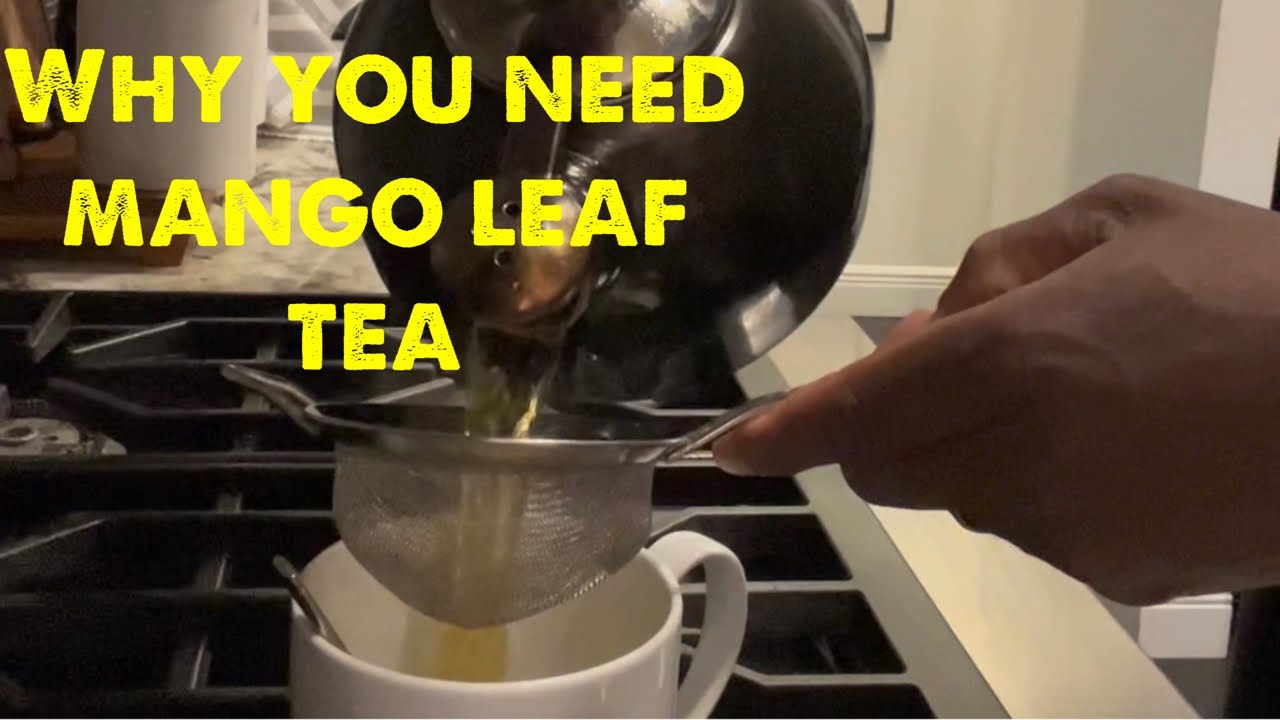 Why You Need to Be Drinking Mango Leaf Tea: Amazing Benefits for Your Health