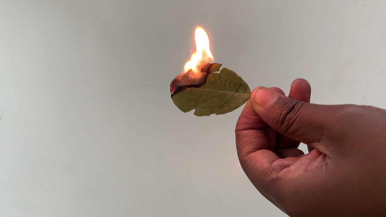 Burn bay leaf in your Room and watch what happen