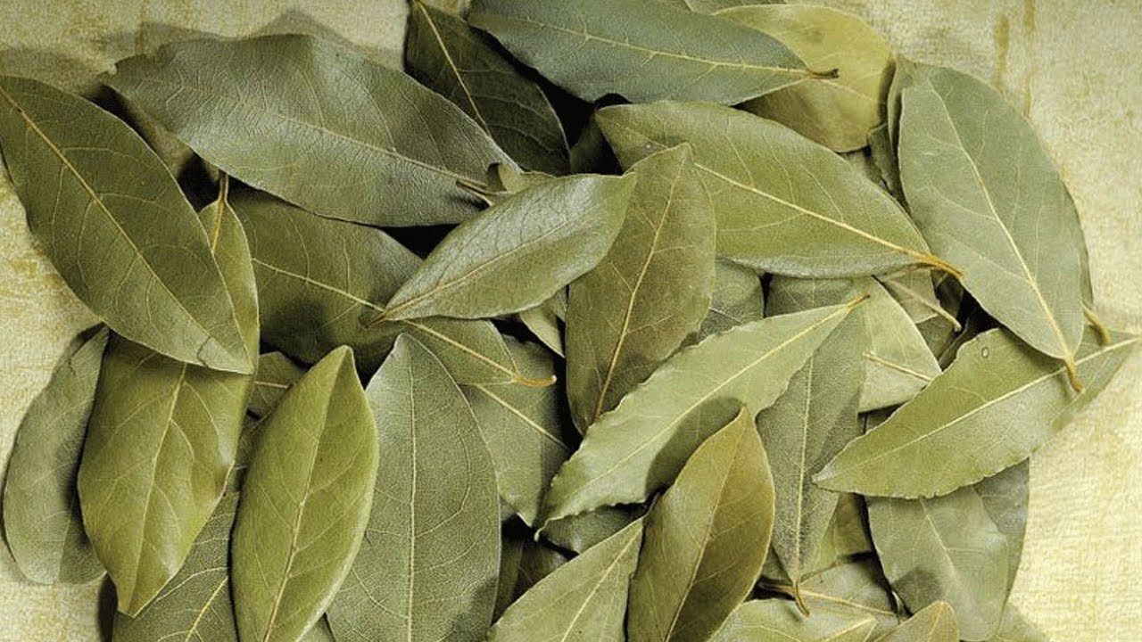 17 Best Benefits of Bay Leaf for Skin, Hair, and Health