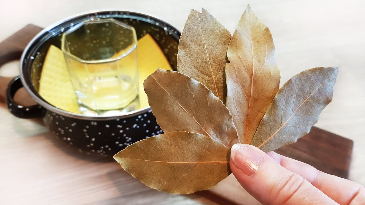 Using Bay Leaves with a Q-Tip to Alleviate Ringing and Noise in the Ears