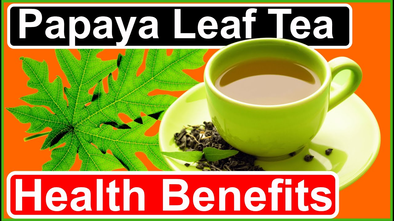 Unlock the Power of Papaya Leaf Tea: Health Benefits