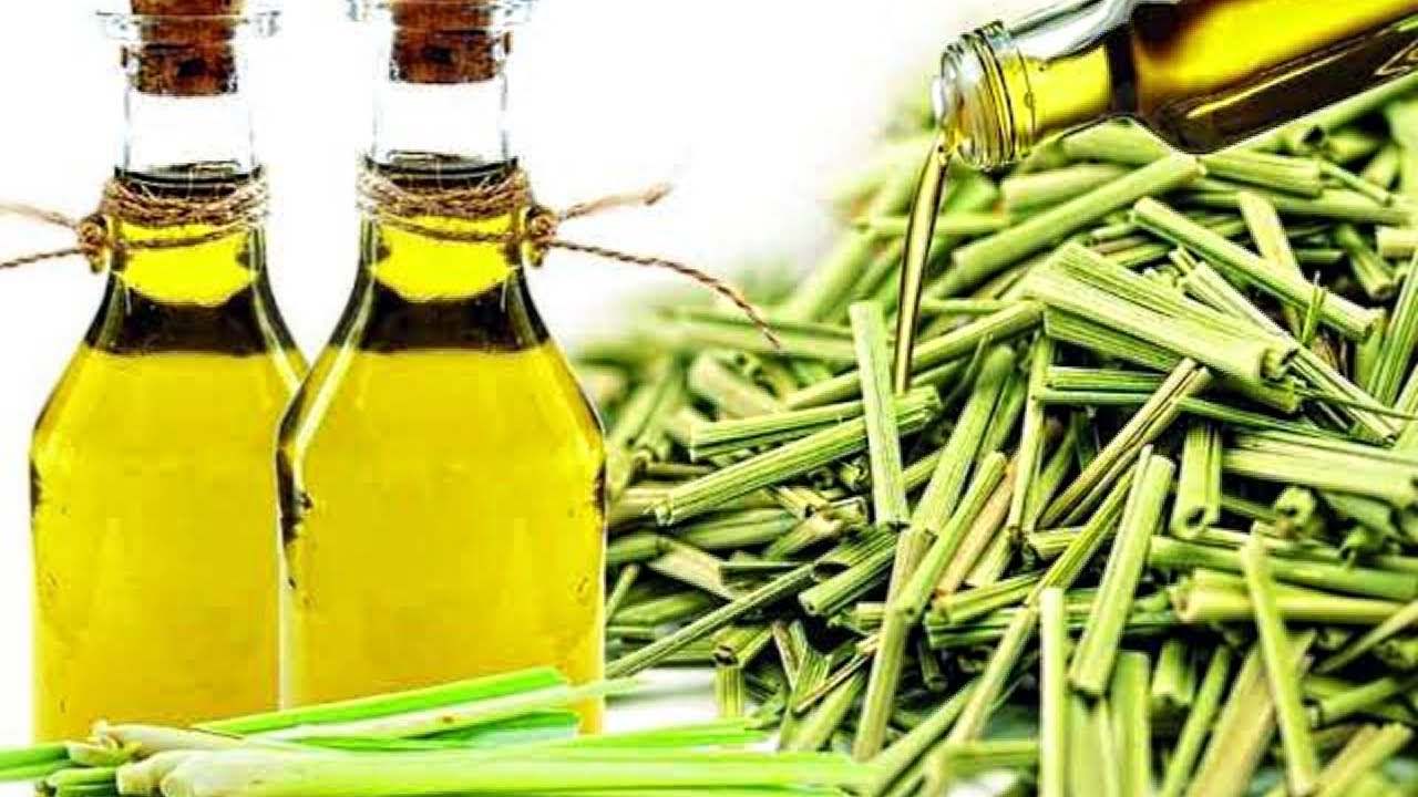 How to Make Lemongrass Oil at Home