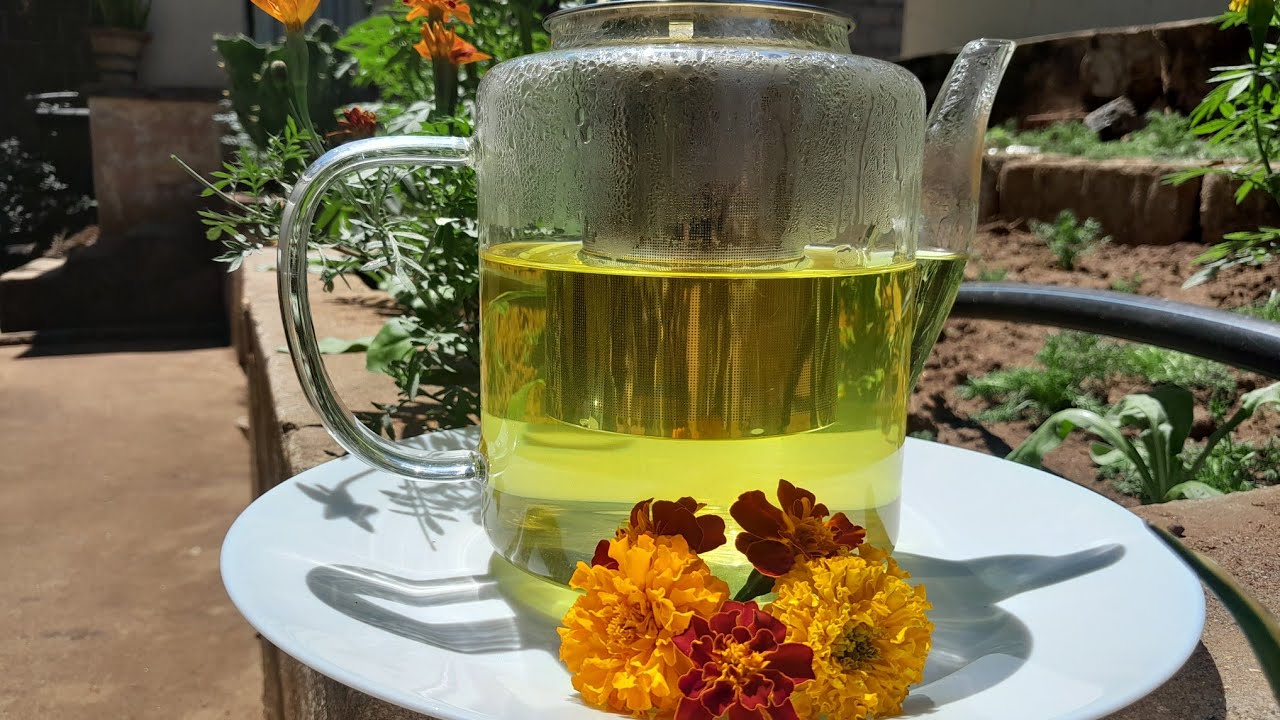 Marigold Health Benefits and How to Make Marigold Tea