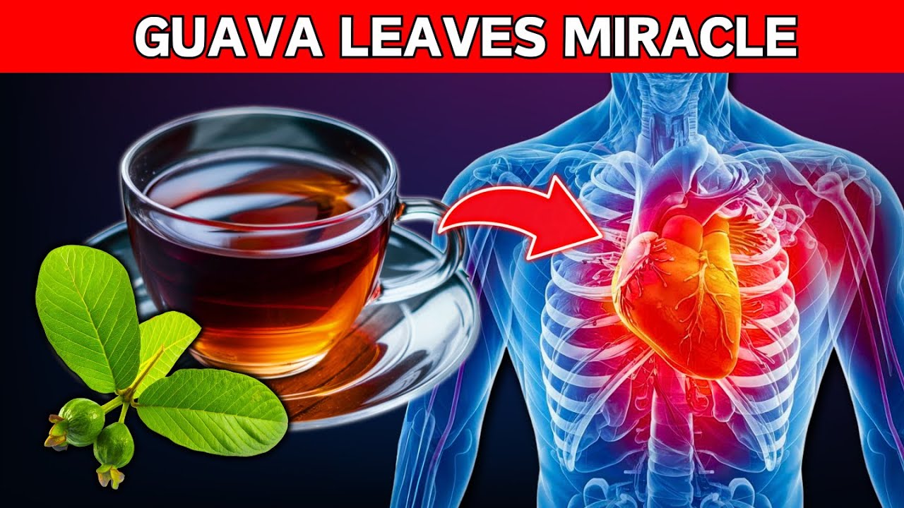 10 Reasons to Drink Guava Leaf Tea Daily | Incredible Benefits of Guava Leaves (Did You Know That?)