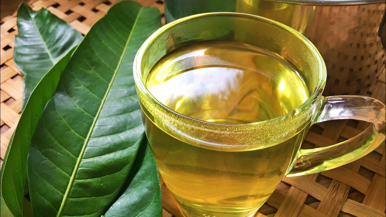 Mango Leaf Tea and Its Health Benefits