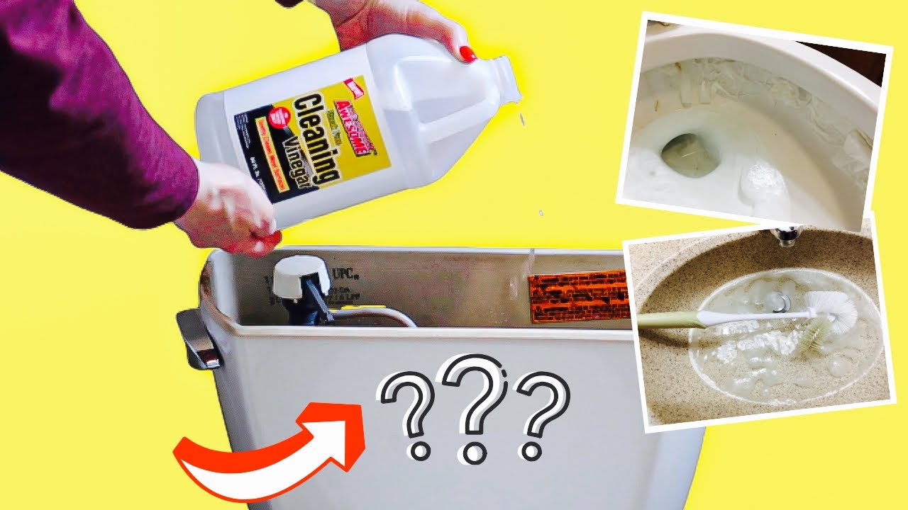 I Poured Vinegar into My Toilet to Clean It. Here’s What Happened!