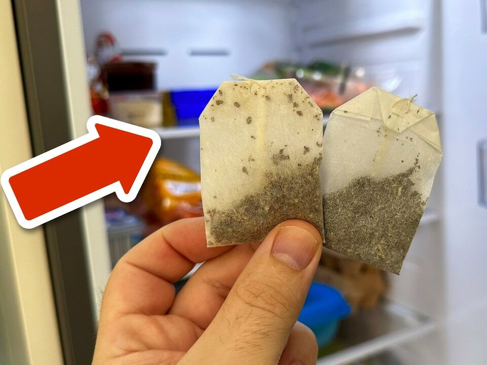 The Surprisingly Ingenious Trick with Tea Bags in the Fridge 💥🤯