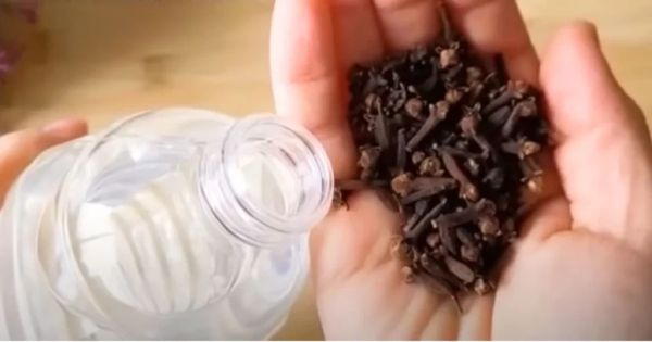 A Powerful Natural Solution: Cloves and White Vinegar