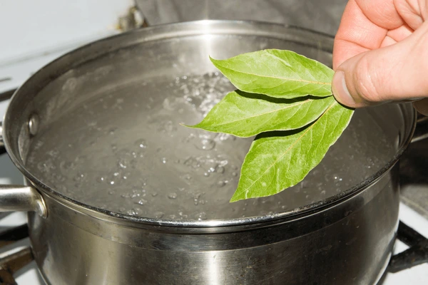 The Surprising Benefits of Drinking Boiled Bay Leaf Tea