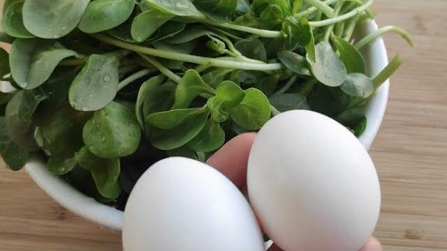 Purslane and Eggs: A Legendary Dish You Must Try